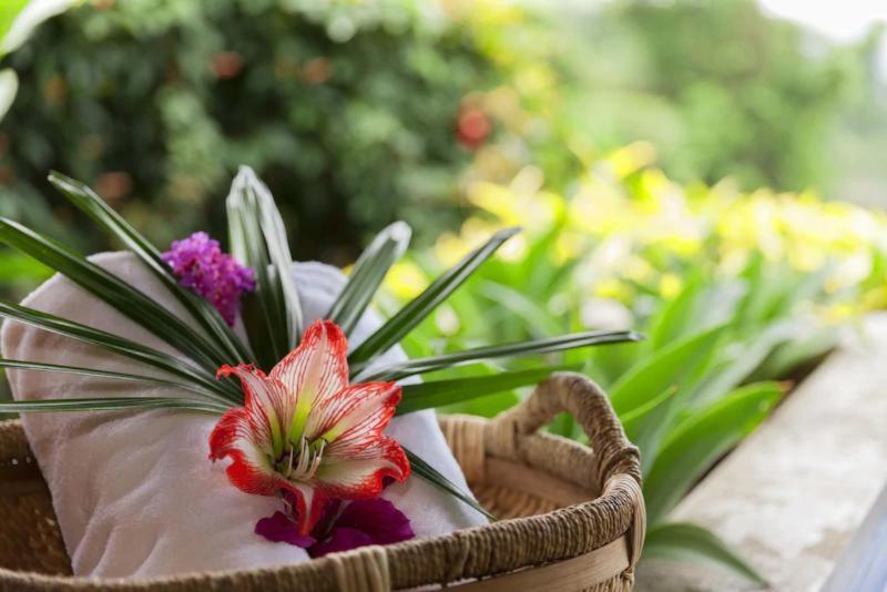 Xandari Resort&Spa Sabanilla de Pampas Rum bild